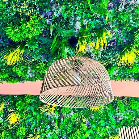 Appartement Mango Jungle - Trip To - Fully Equipped 1-bedroom