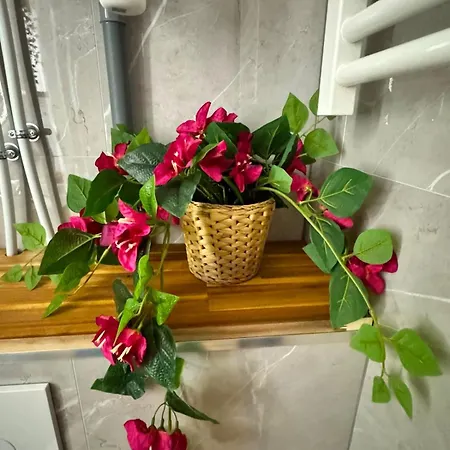 Mango Jungle - Trip To - Fully Equipped 1-bedroom Appartement