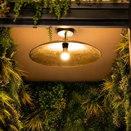 Apartamento Mango Jungle - Chaleureux Sur Le Theme De La Jungle Avec Balcon A *