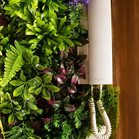Mango Jungle - Chaleureux Sur Le Theme De La Jungle Avec Balcon A Apartamento