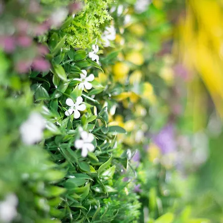 Apartamento Mango Jungle - Chaleureux Sur Le Theme De La Jungle Avec Balcon A