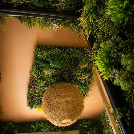 Apartamento Mango Jungle - Chaleureux Sur Le Theme De La Jungle Avec Balcon A *