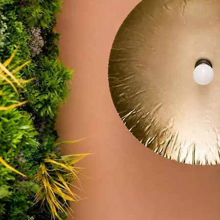 Apartamento Mango Jungle - Chaleureux Sur Le Theme De La Jungle Avec Balcon A