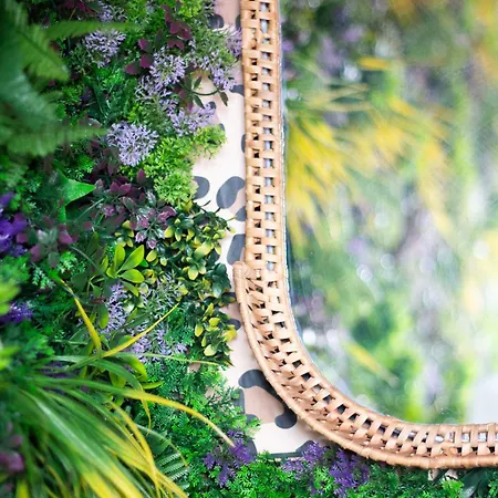 Mango Jungle - Chaleureux Sur Le Theme De La Jungle Avec Balcon A * Grenoble
